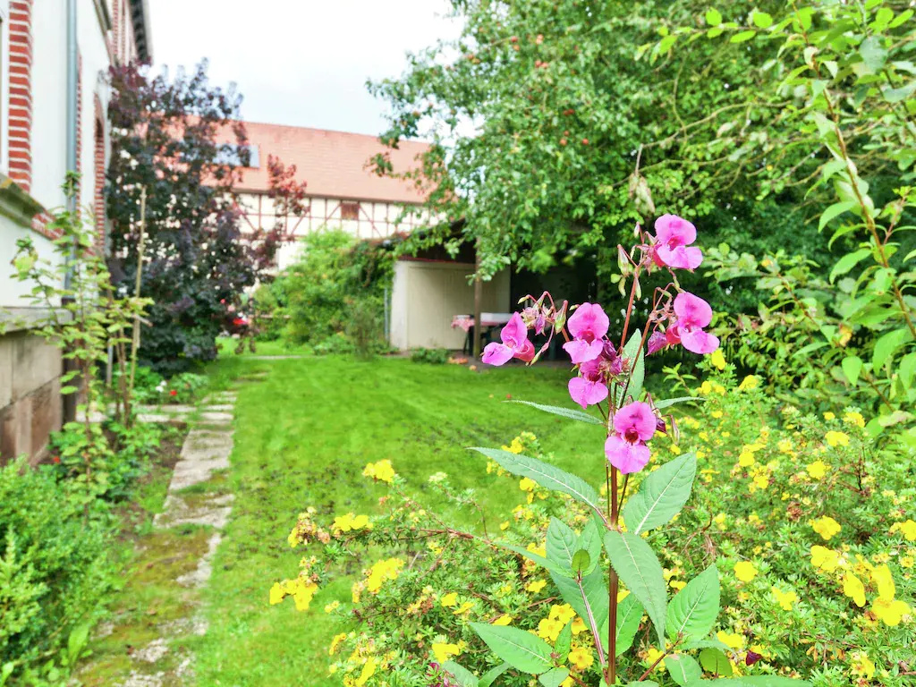 Stylish former village school with garden in Waldeck-Netze