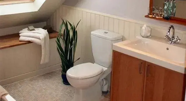 Ewenny Woods B&B