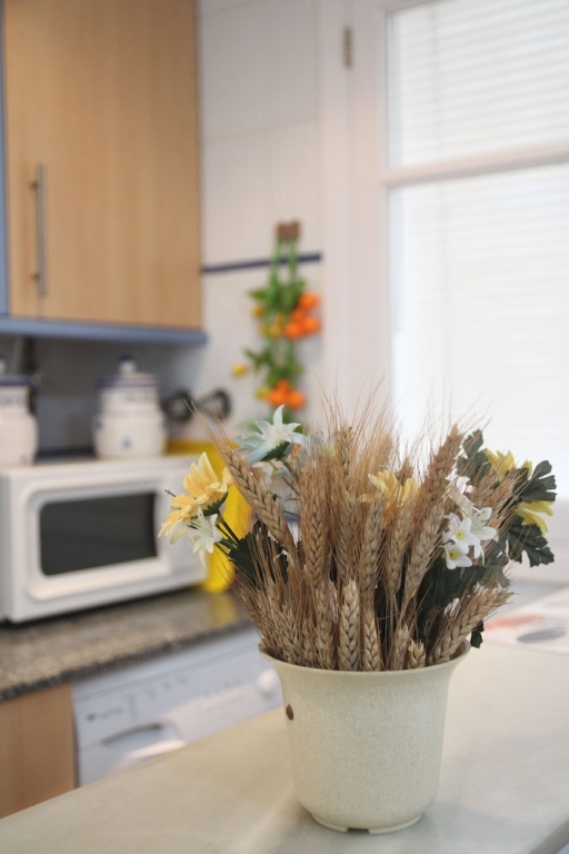 Apartamento Rincón Plaza
