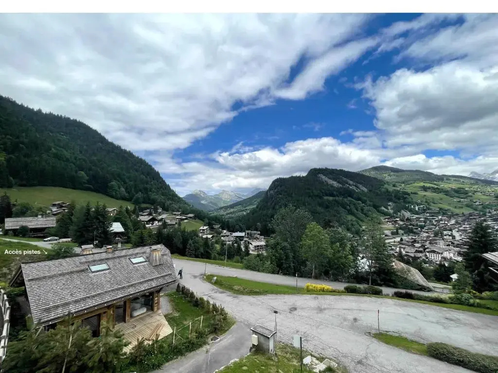 Richemont 12 - Duplex Proche Pistes Vue