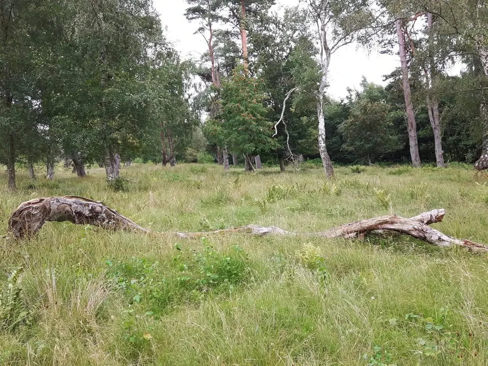 6 person holiday home in Væggerløse