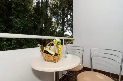 Apartment Iva 31