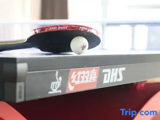 Zhenlai Nanhu Hotel