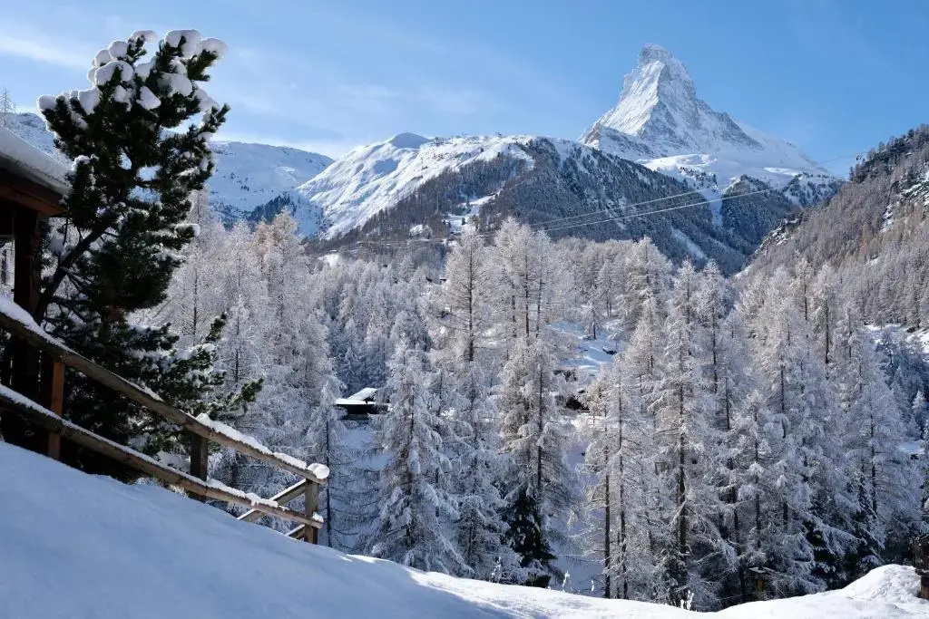 Mountain Paradise
