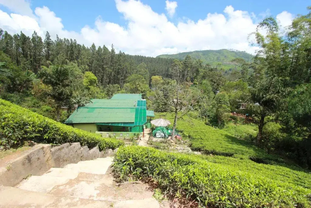 Narra Homestay