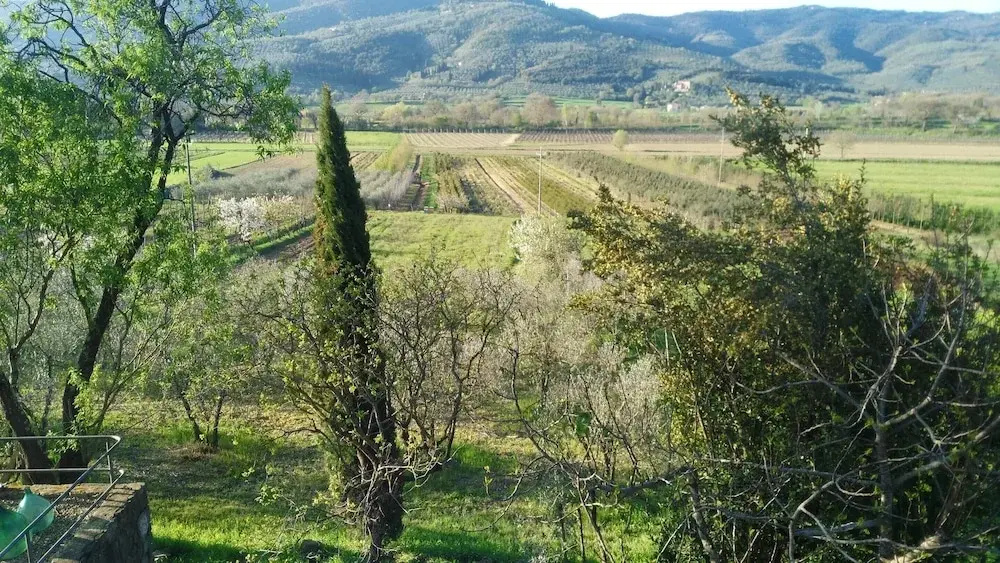 Tuscan Villa in Castiglion Fiorentino w/ Pool