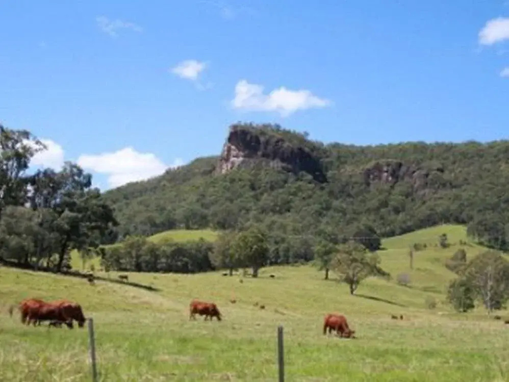 Rosevale House
