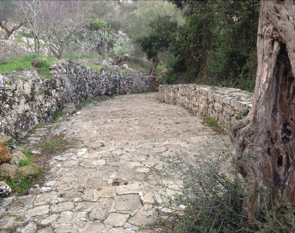Giardini di Marzo