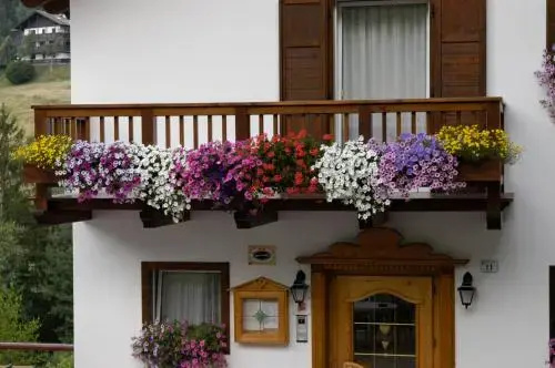 Debra Park Hotel