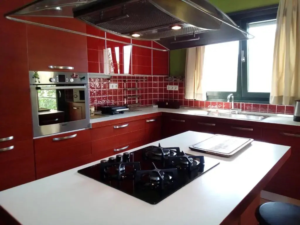 Vicente House