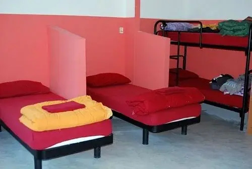 Walking Street Hostel Pisa