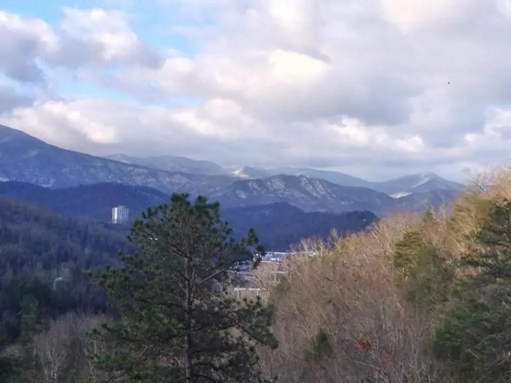 Mountain Haven - Relax & enjoy AMAZING 180 Degree Views of Mt LeConte