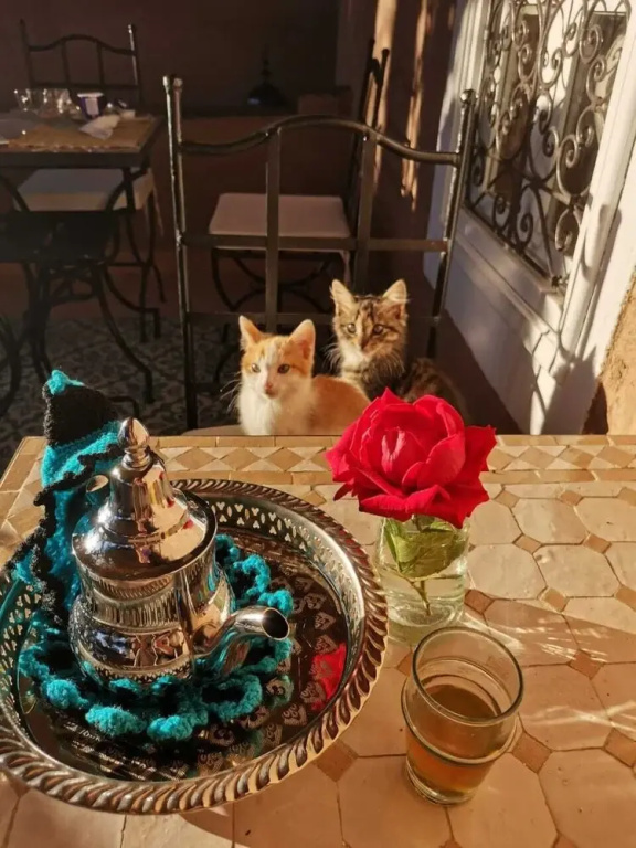 Riad Terracota