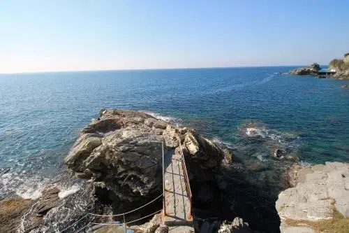 House Nervi