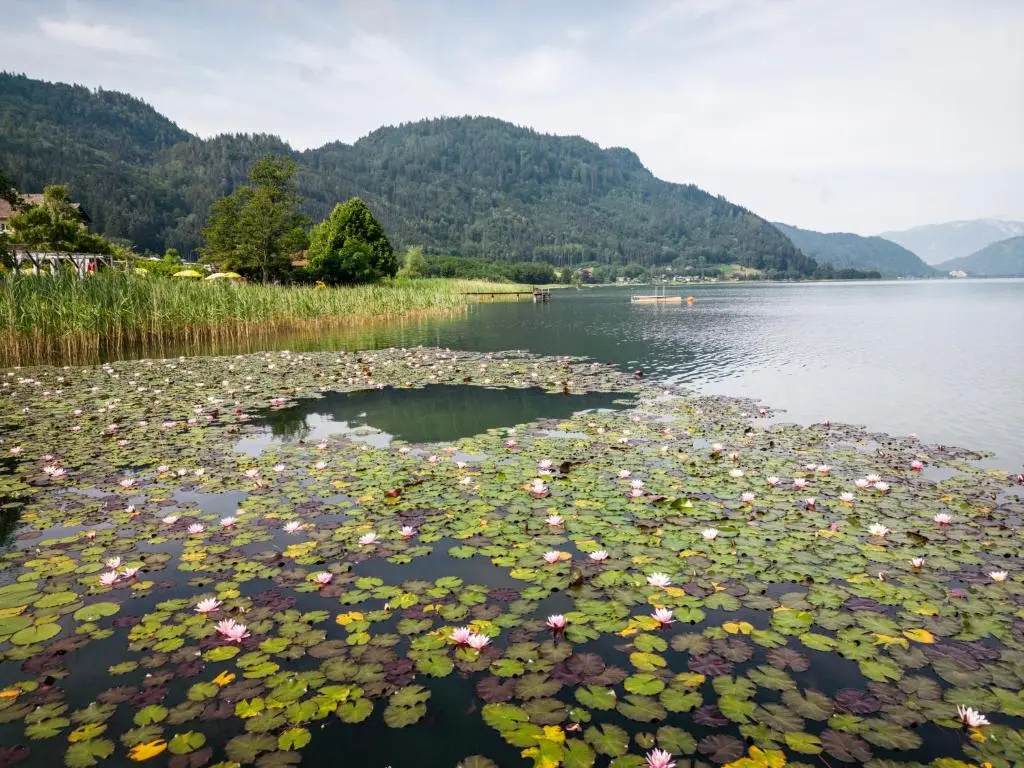 Wellness Landhaus Parth
