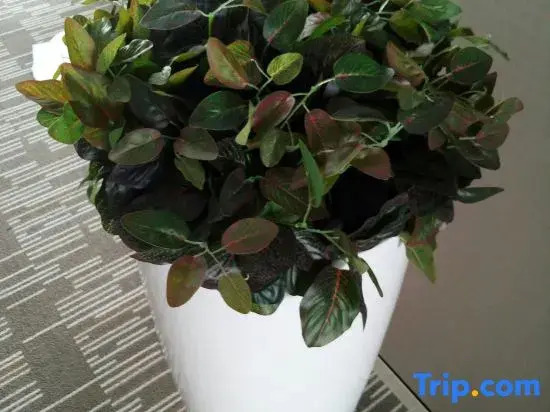 Homeinn Plus Hotel (Linyi Yinan Lishan Road)