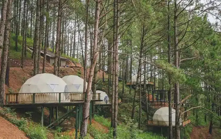 Lavender Dalat Hotel and Resorts