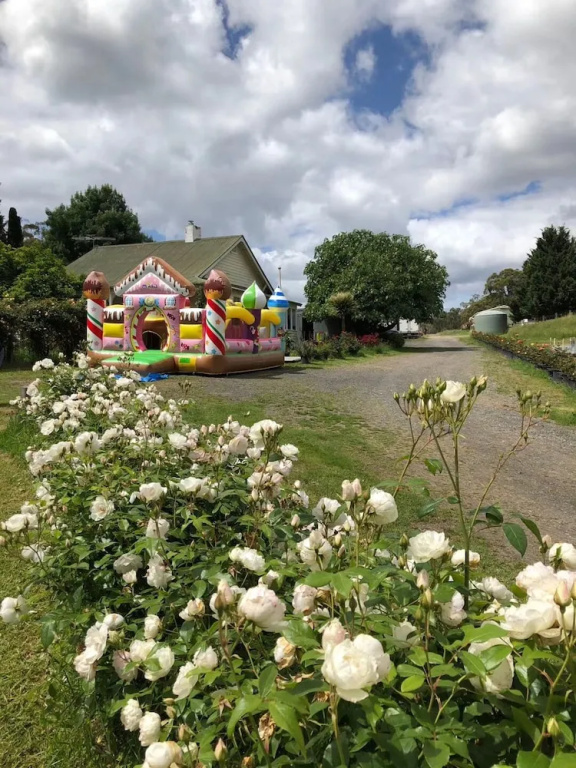 Golden Village