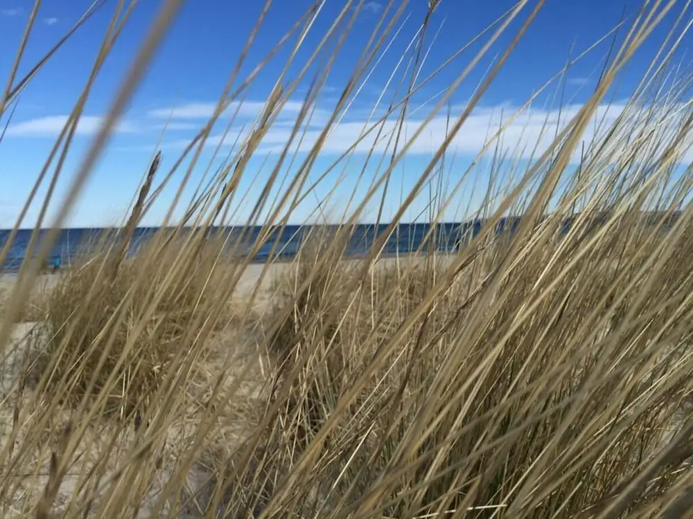 Holiday Home \"baltic Sea Dream\"