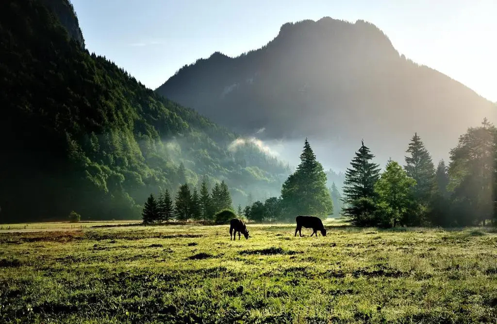 Landhotel Böld Oberammergau