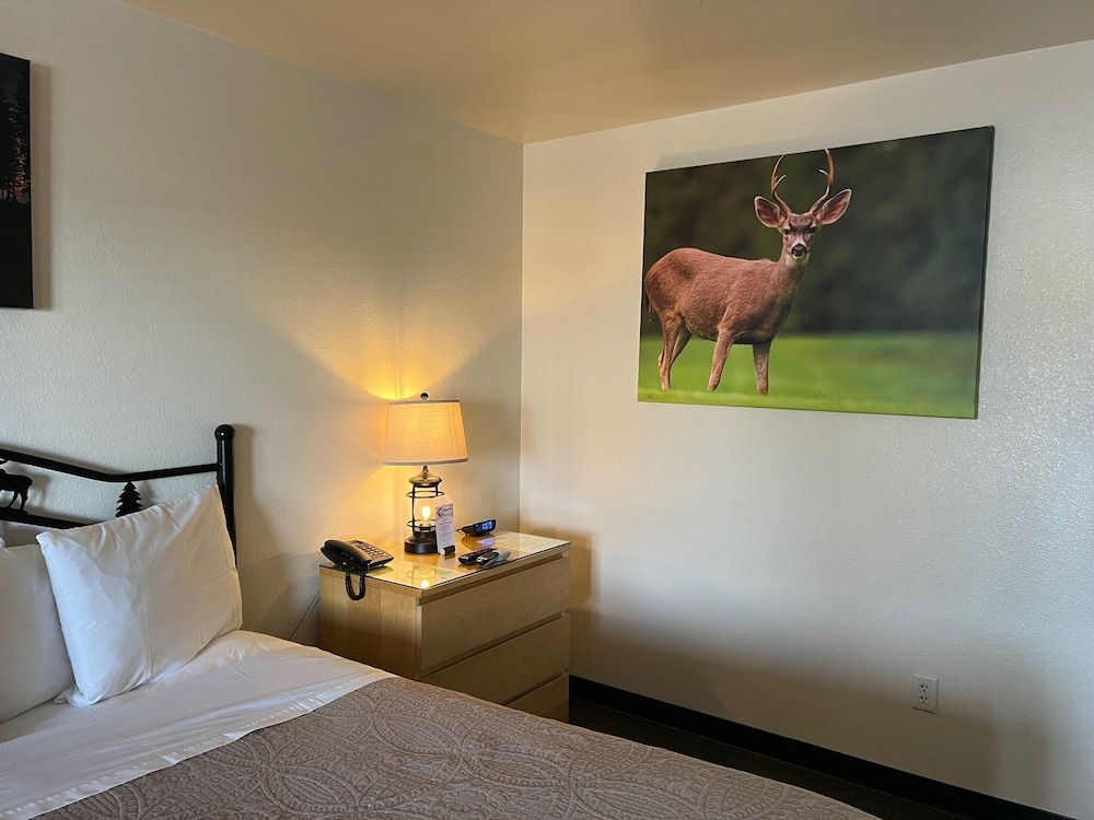 Antlers Inn