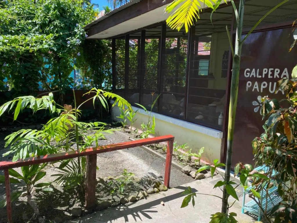 Homestay Galpera Papua