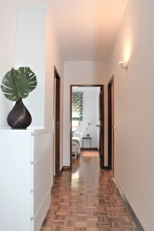 Accommodation Flat Damião de Gois