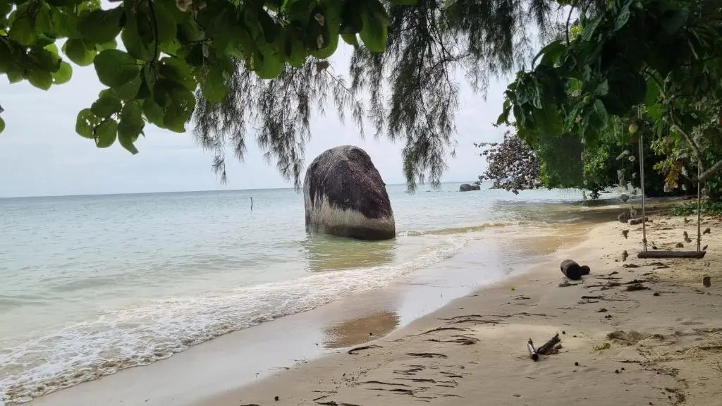 PawPaw Resort