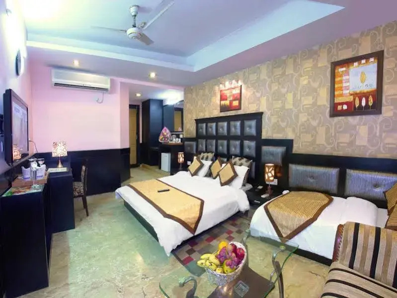 OYO 8505 Hotel Ashu Palace