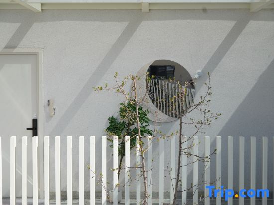 starlight homestay