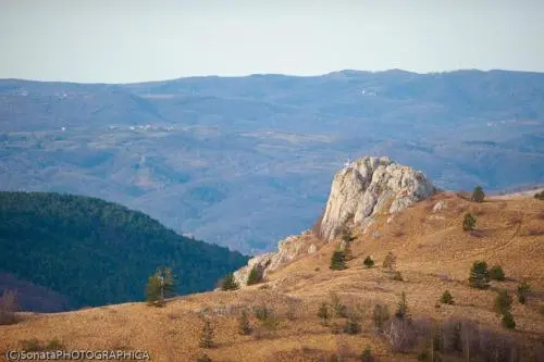 Rooms Merkantil Simenta