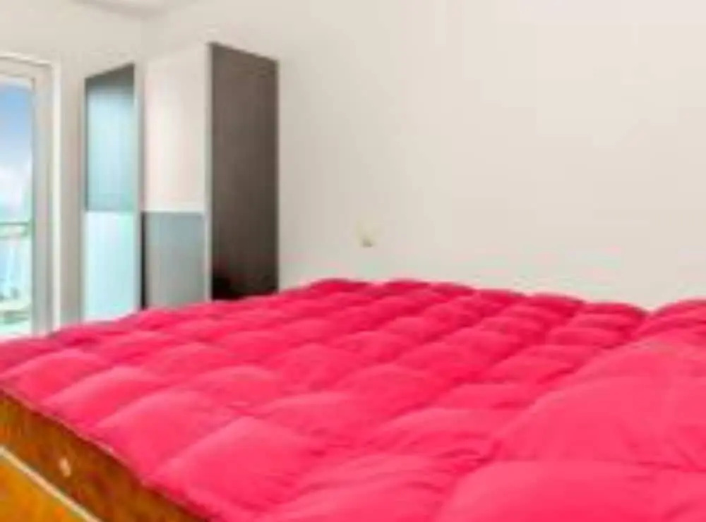 Apartments Panorama