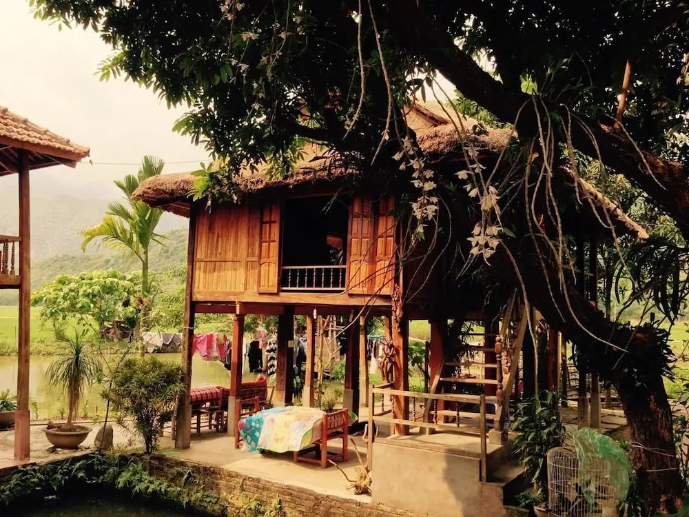 Linh Soi Homestay - Hostel