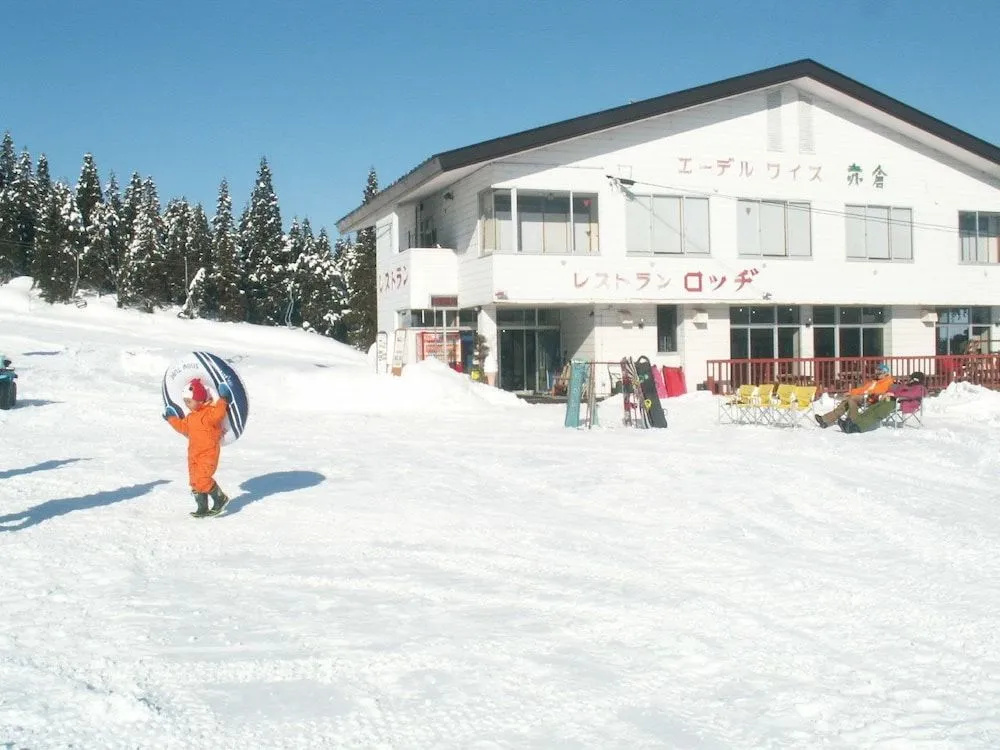 Edelweiss Akakura