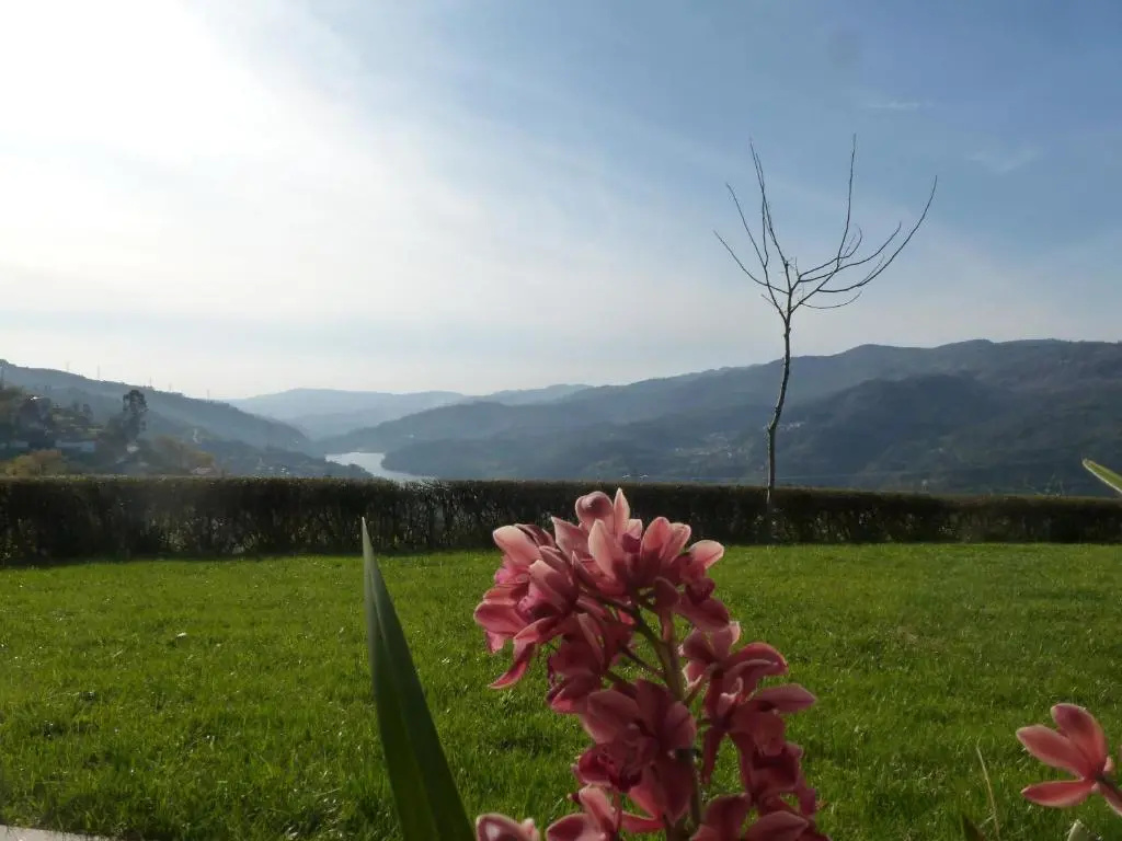 Quinta do Bento