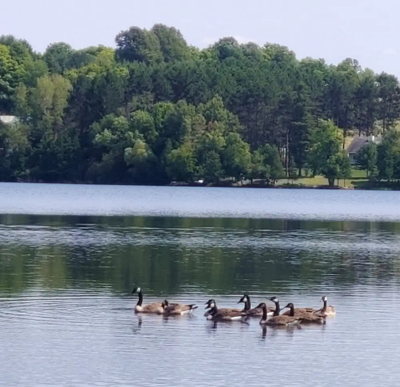 Lakeshore Motel Ice Lake