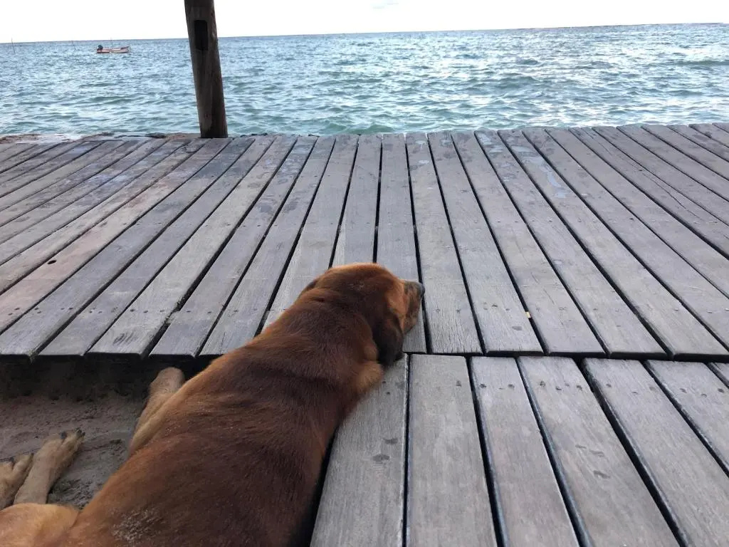 Pousada Tranquila