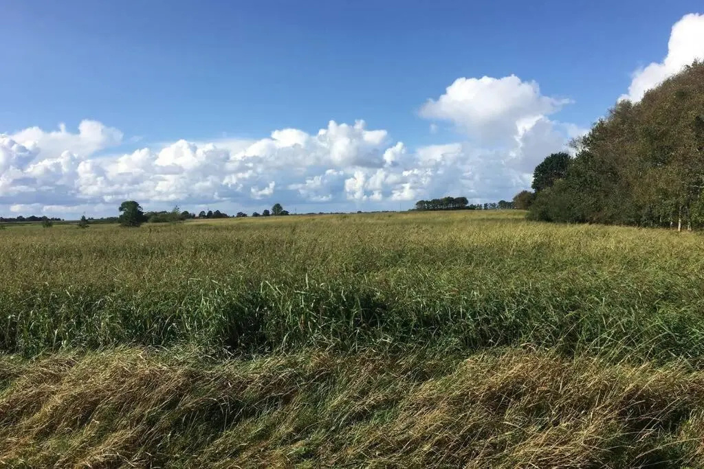 Moderne Unterkunft Landzeit Esens nahe der Nordsee - ökologisch saniertes Ferienhaus