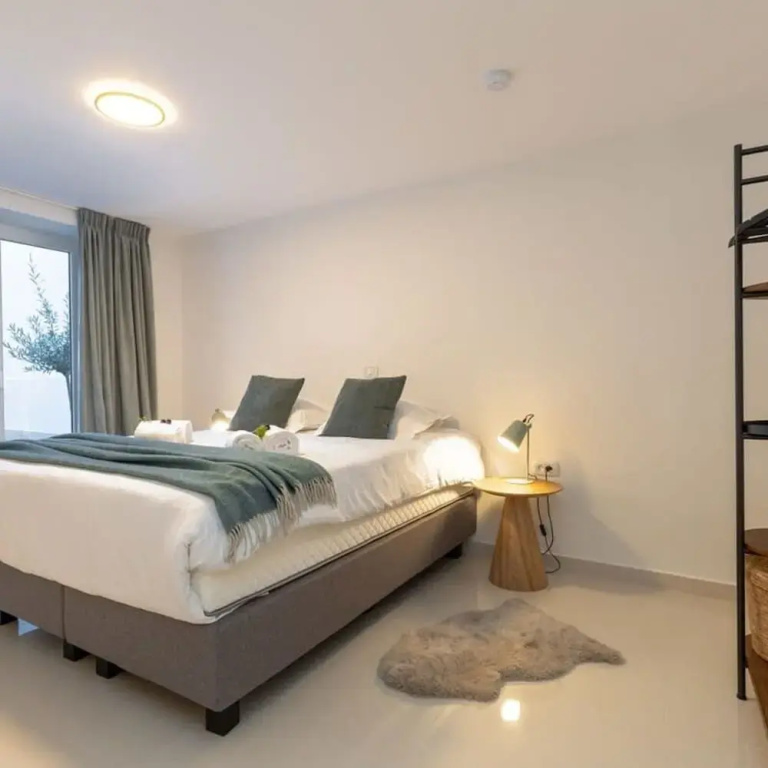 Stylish Duplex Apartment in a Renovated Town House