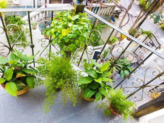 Hangzhou Yueshu Homestay (Xihu Zhejiang University)