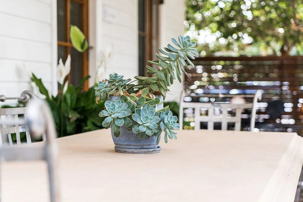 Skye Lodge Byron Bay - Walk to town in 5 minutes!