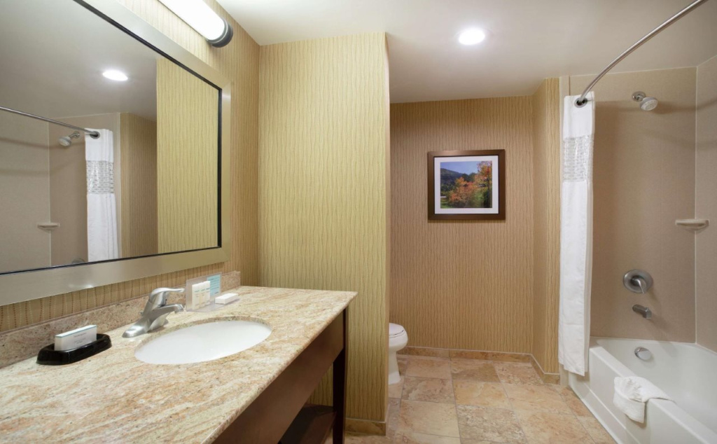 Hampton Inn and Suites Denver/South-RidgeGate