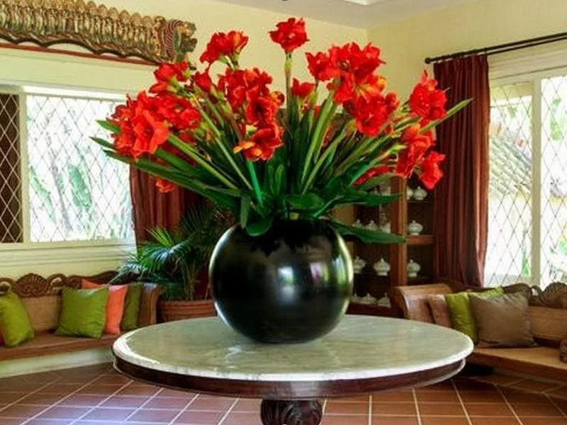 Gladiola Guest House