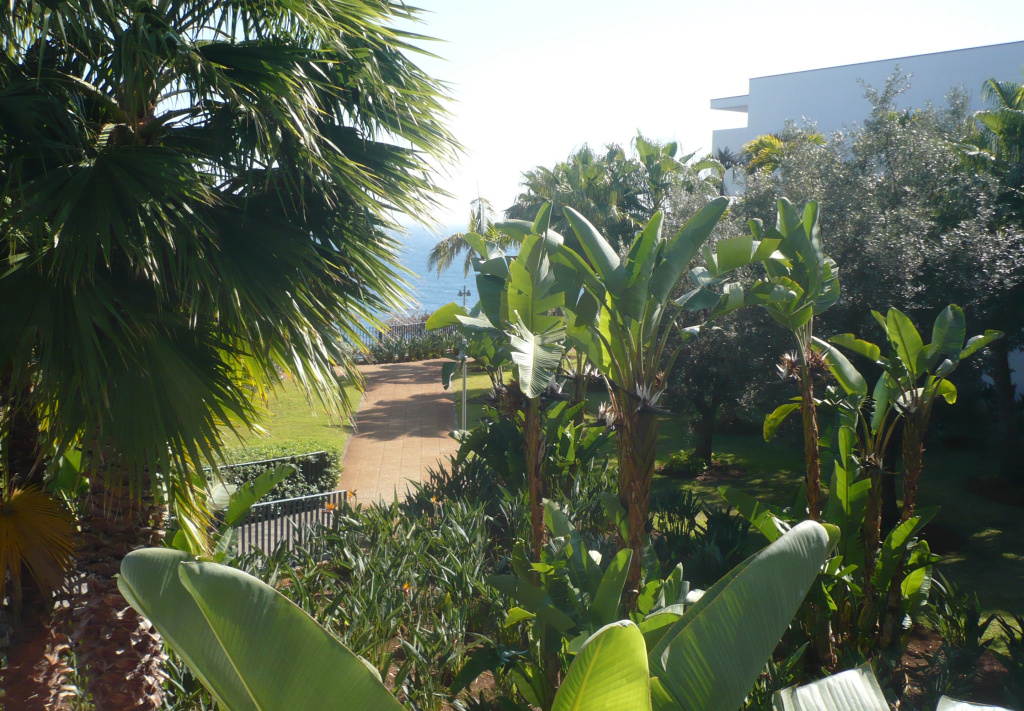 VidaMar Resort Hotel Madeira