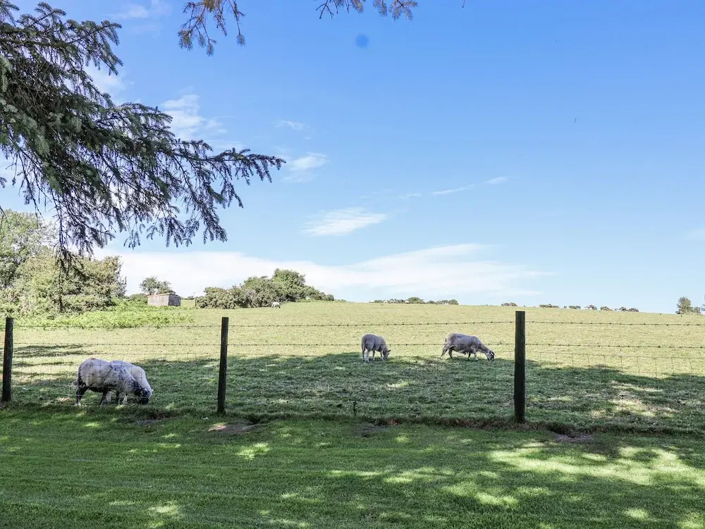 The Byre