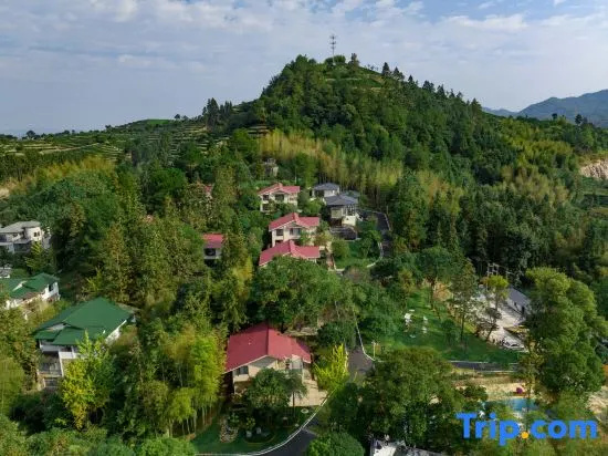 Wuyishan Rongjingshu Hotel