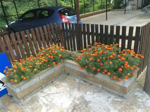 Guesthouse Smiljanić
