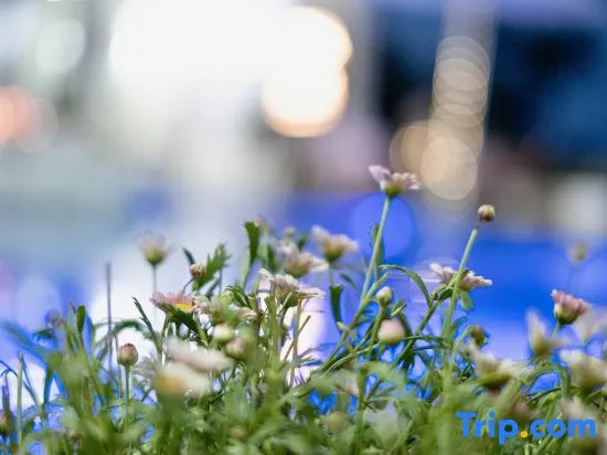 onlyyou is not you Holiday Meisu (Puzhehei Scenic Area Head Office)