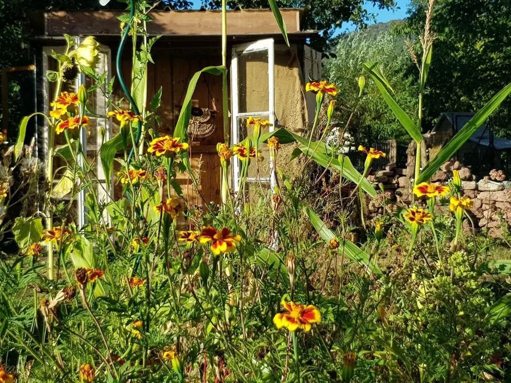 Le jardin des gouttes