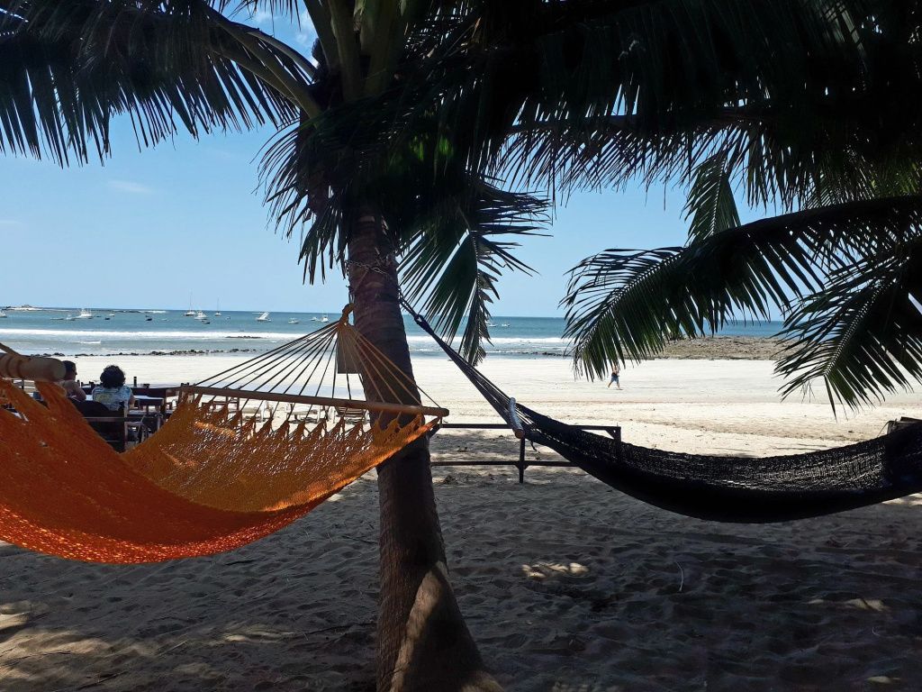 Hotel La Palapa